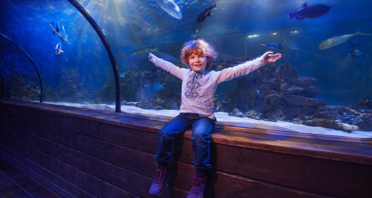 a child at the aquarium on a field trip
